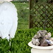 Mary Chouinard Photo 8