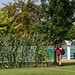 Jim Simonson Photo 11