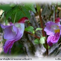 Cindy Sowers Photo 9