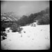 Diana Sage Photo 29