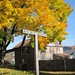 Lee Maple Photo 5