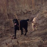 Susan Glover Photo 48