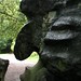 Nell Mccarthy Photo 8