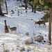 Jason Henke Photo 19