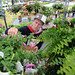 Brad Haskell Photo 27