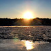 Lawrence Levy Photo 38