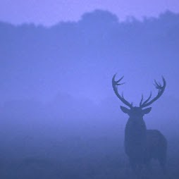 James Radford Photo 31