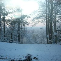 Judy Huff Photo 15