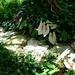 Carolyn Stone Photo 30