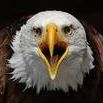 Susan Albright Photo 41
