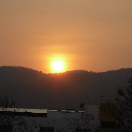Harold Mccarthy Photo 4