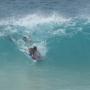 Harley Cook Photo 10