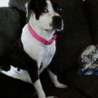 Roberta Mcneal Photo 4