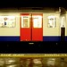Stephen Cannon Photo 17