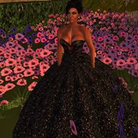 Dina Howell Photo 5