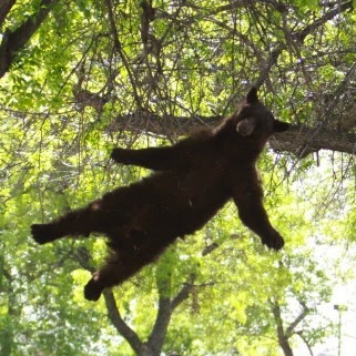 Michele Worthington Photo 2