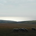 Sara Beachy Photo 6