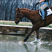 Angela Olney Photo 9