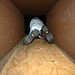 Caleb Watts Photo 25