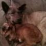Richard Mccloud Photo 24