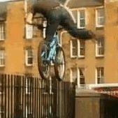 Danny Newton Photo 9