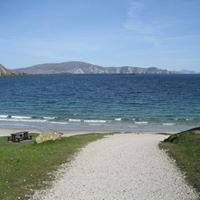 Anne Conlon Photo 30