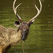 John Isaacs Photo 38