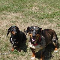 Janice Helton Photo 21