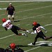 Terrell Simpson Photo 16