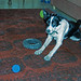 Stephen Pritchard Photo 11