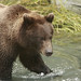 Allison Browning Photo 12