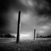 David Stuart Photo 17