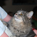 Elizabeth Godfrey Photo 18