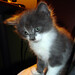 Jason Hammon Photo 12