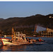 Shi Wu Photo 19
