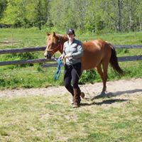 Jennifer Stultz Photo 35