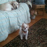 Teresa Cochran Photo 22