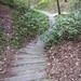 Sarah Dukes Photo 24