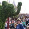 Helen Jackson Photo 28