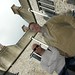 Tony Carrick Photo 4