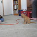 Joy Mulder Photo 6