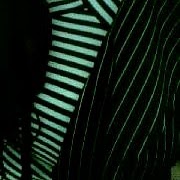 Lilian Lopez Photo 24