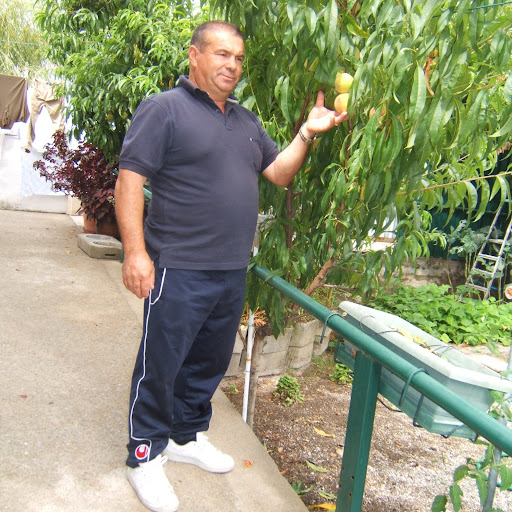 Francisco Matos Photo 34