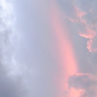 Justin Chase Photo 26