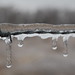 Rhonda Adair Photo 14