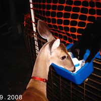 Mary Lanier Photo 16