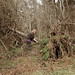 Meghan Godwin Photo 8