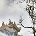 Tuan Huynh Photo 42
