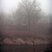 Steven Latham Photo 31