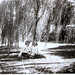 Sherry Best Photo 28